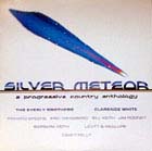 silver_meteor